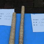 自然薯の首の部分