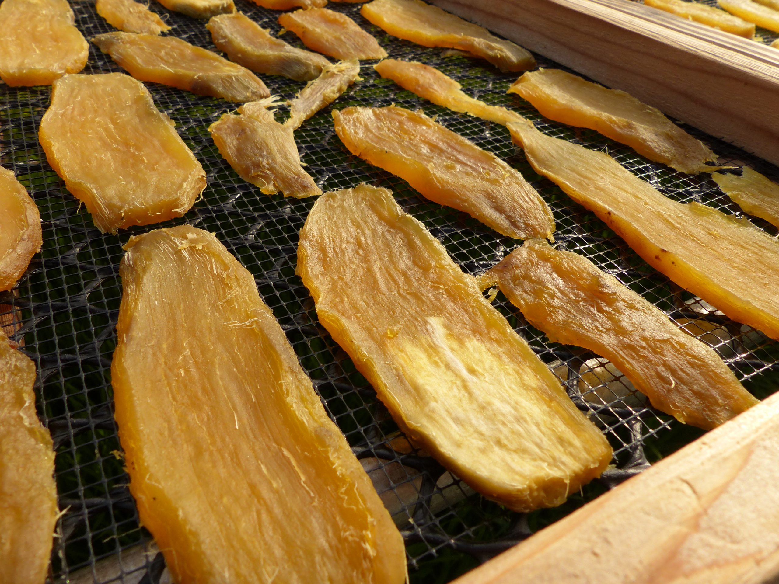 ほしキラリ」干し芋（ほしいも）品種紹介 | 茨城のセールスレップ旬報