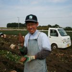 にんじん芋（人参芋）「兼六種）の原料芋収穫