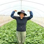 【新発売】オカベファームの2025年 夏の新商品、夏も干し芋を楽しむ!