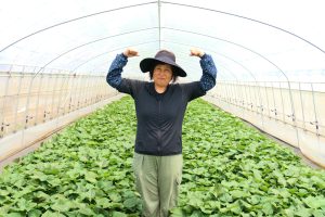 【新発売】オカベファームの2025年 夏の新商品、夏も干し芋を楽しむ！